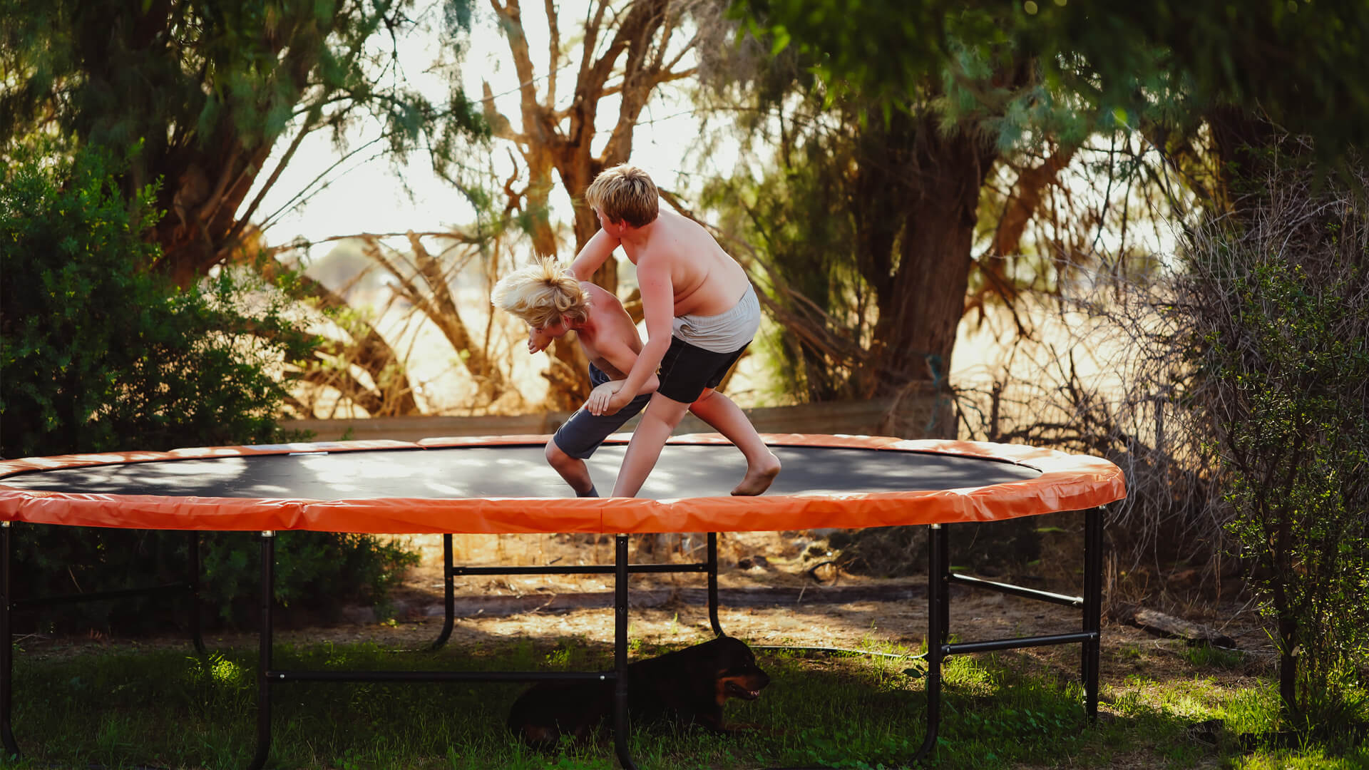 Trampoline